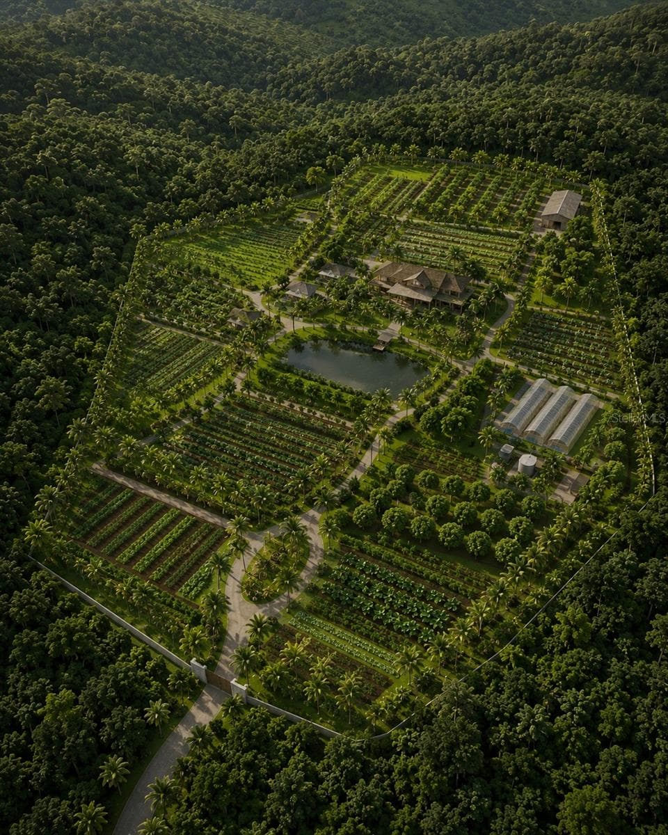 Carr 853 BO. CACAO LOTE 15 — photo 8 of 8