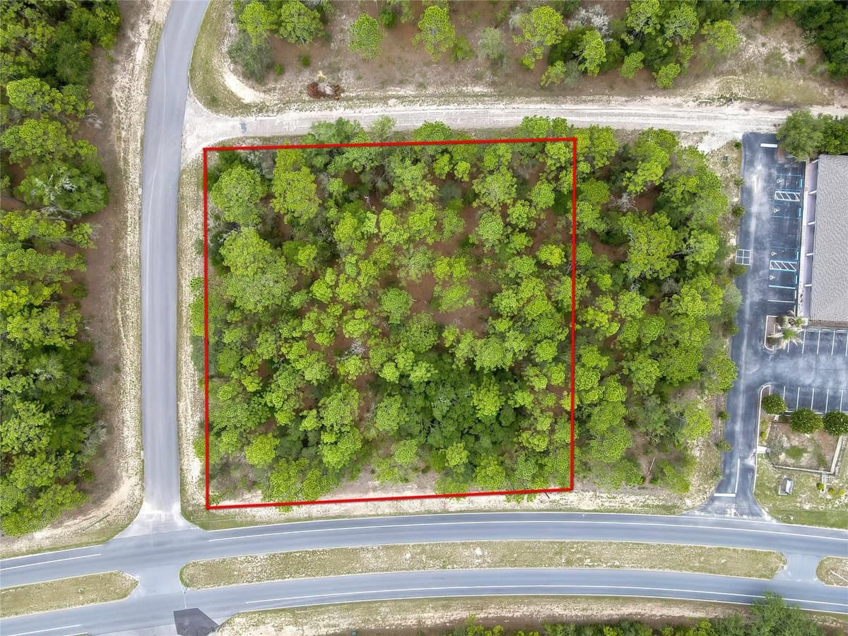 9787 CITRUS SPRINGS BOULEVARD — photo 1 of 10