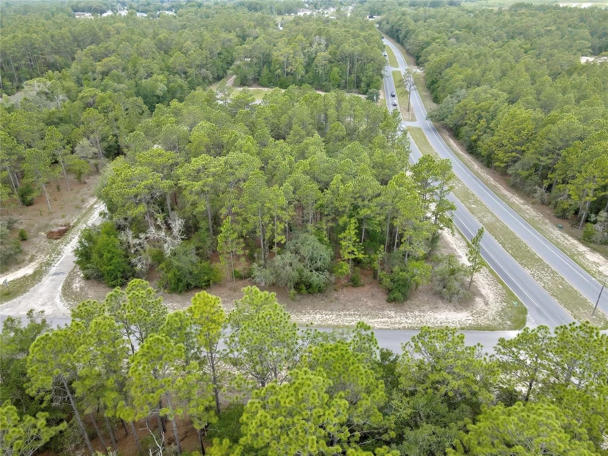 9787 CITRUS SPRINGS BOULEVARD — photo 9 of 10
