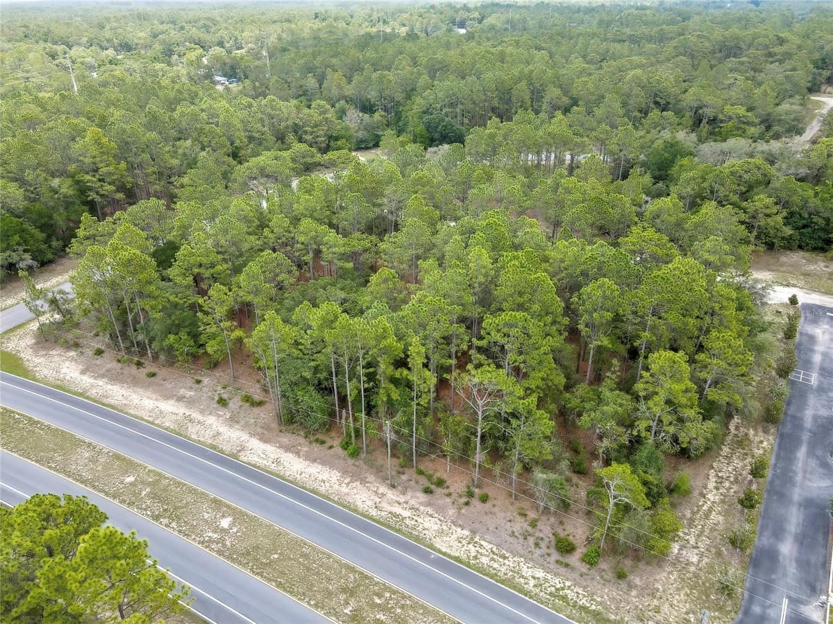 9787 CITRUS SPRINGS BOULEVARD — photo 4 of 10