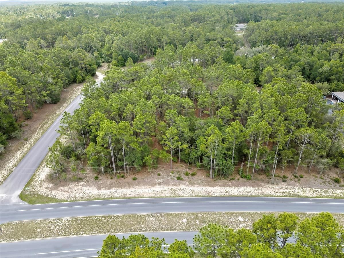 9787 CITRUS SPRINGS BOULEVARD — photo 3 of 10