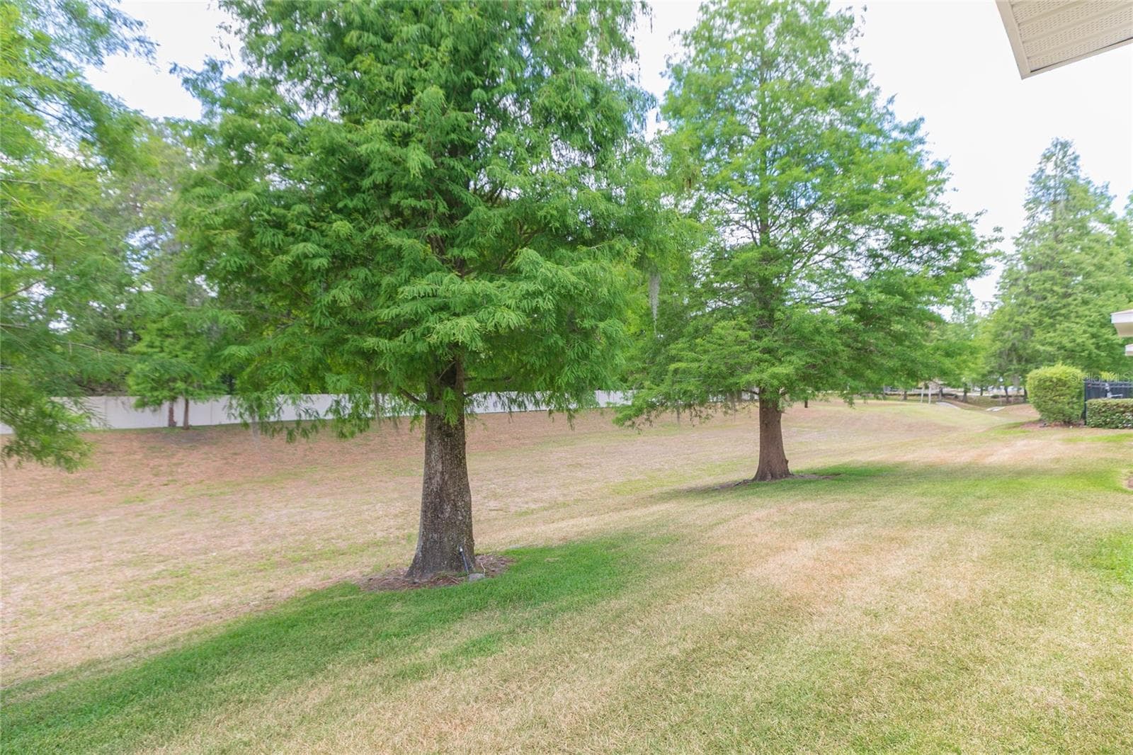 3152 ROYAL TUSCAN LANE — photo 41 of 45