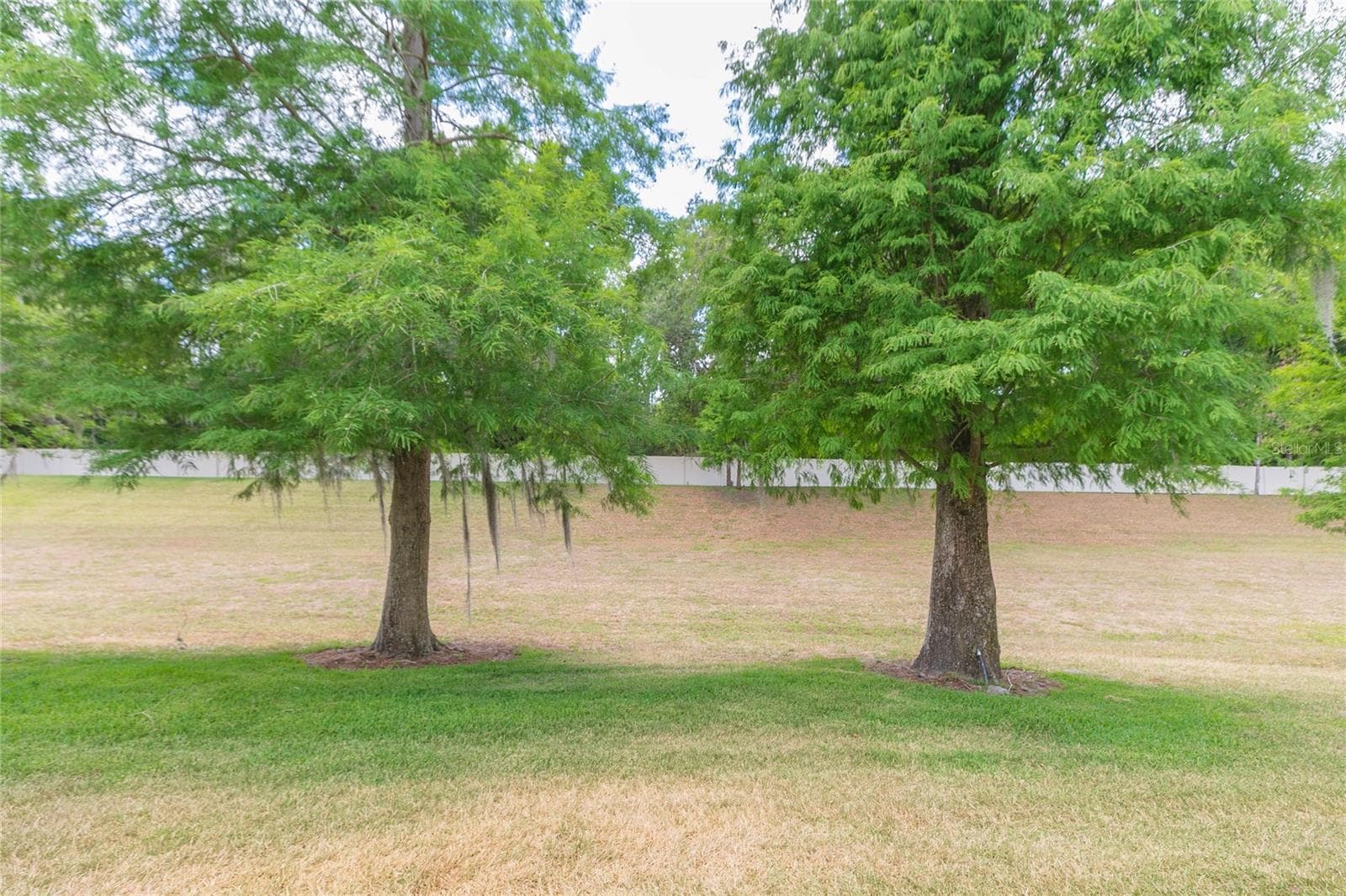 3152 ROYAL TUSCAN LANE — photo 39 of 45