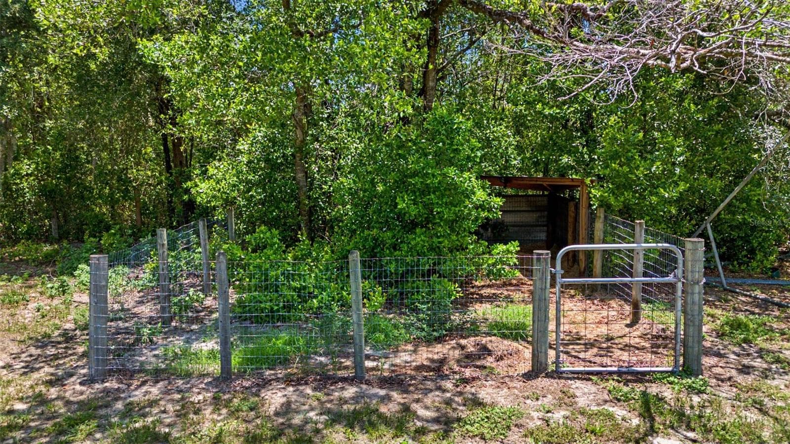 10933 PINTO DRIVE — photo 56 of 66
