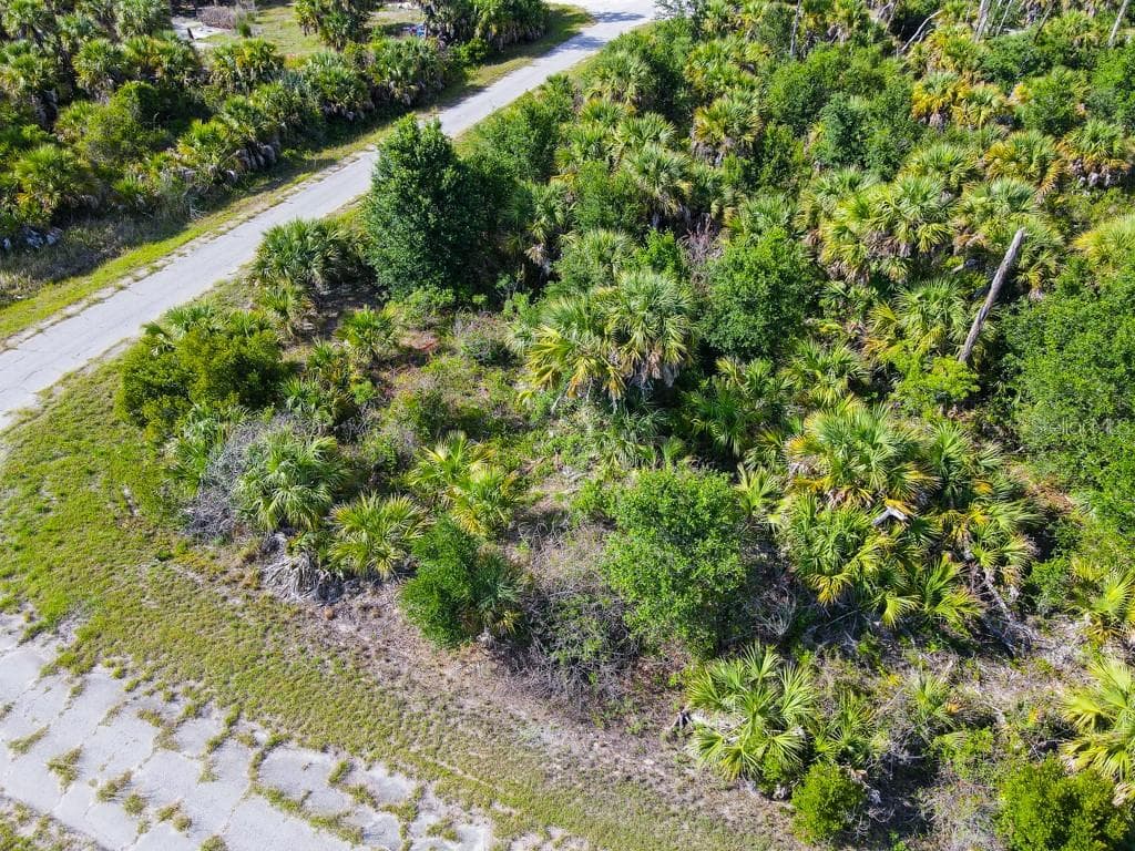 FIREBIRD ROAD — photo 10 of 20