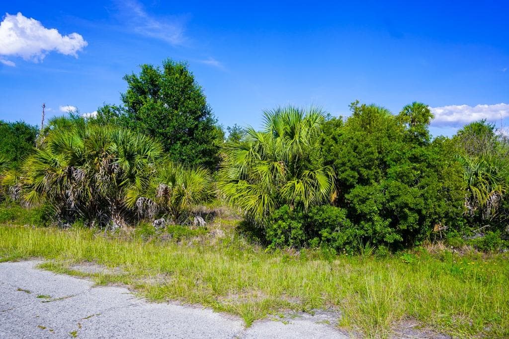FIREBIRD ROAD — photo 20 of 20