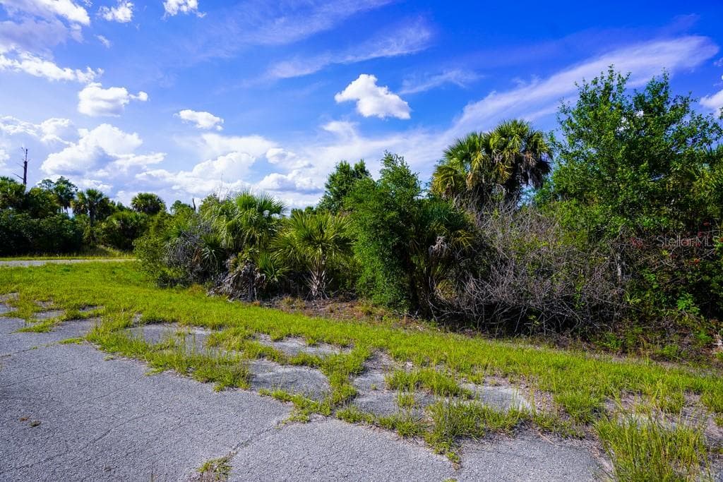 FIREBIRD ROAD — photo 12 of 20