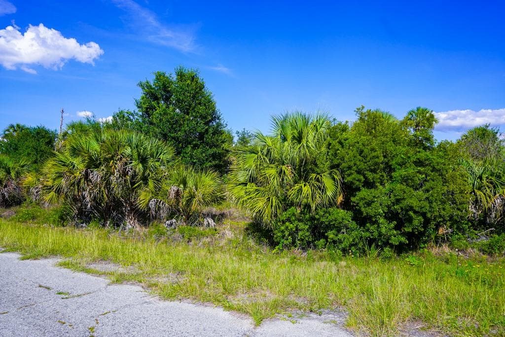 FIREBIRD ROAD — photo 19 of 20