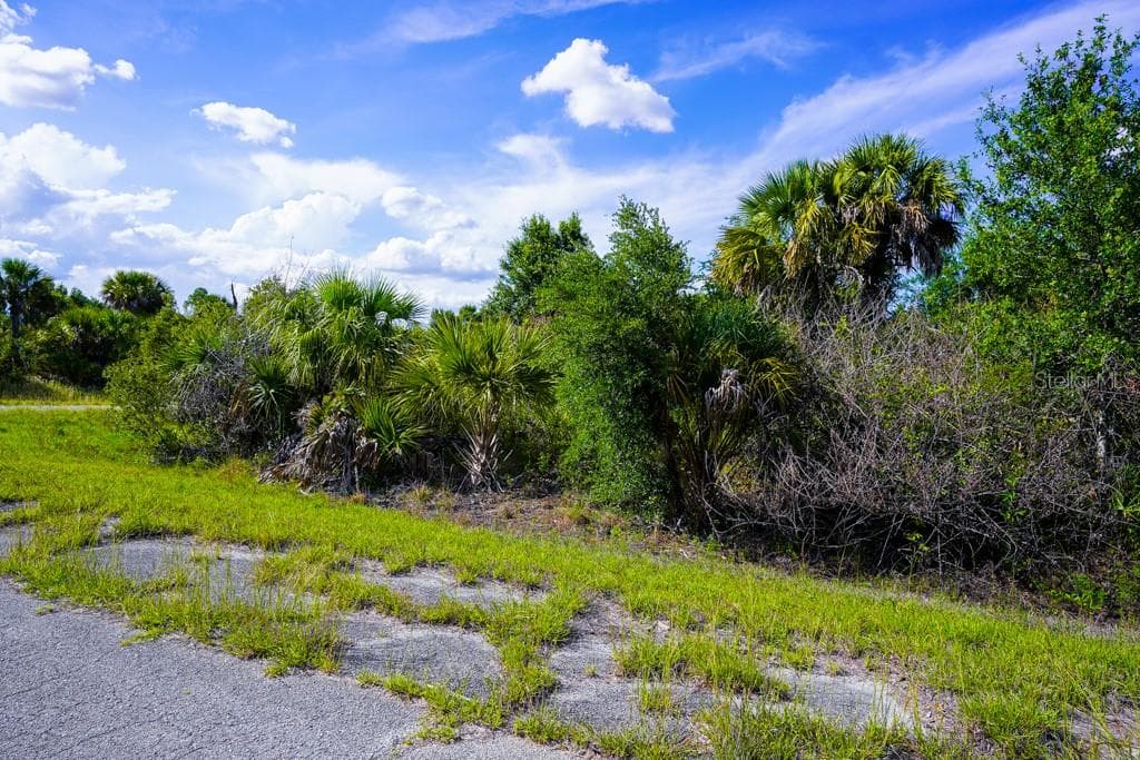 FIREBIRD ROAD — photo 13 of 20