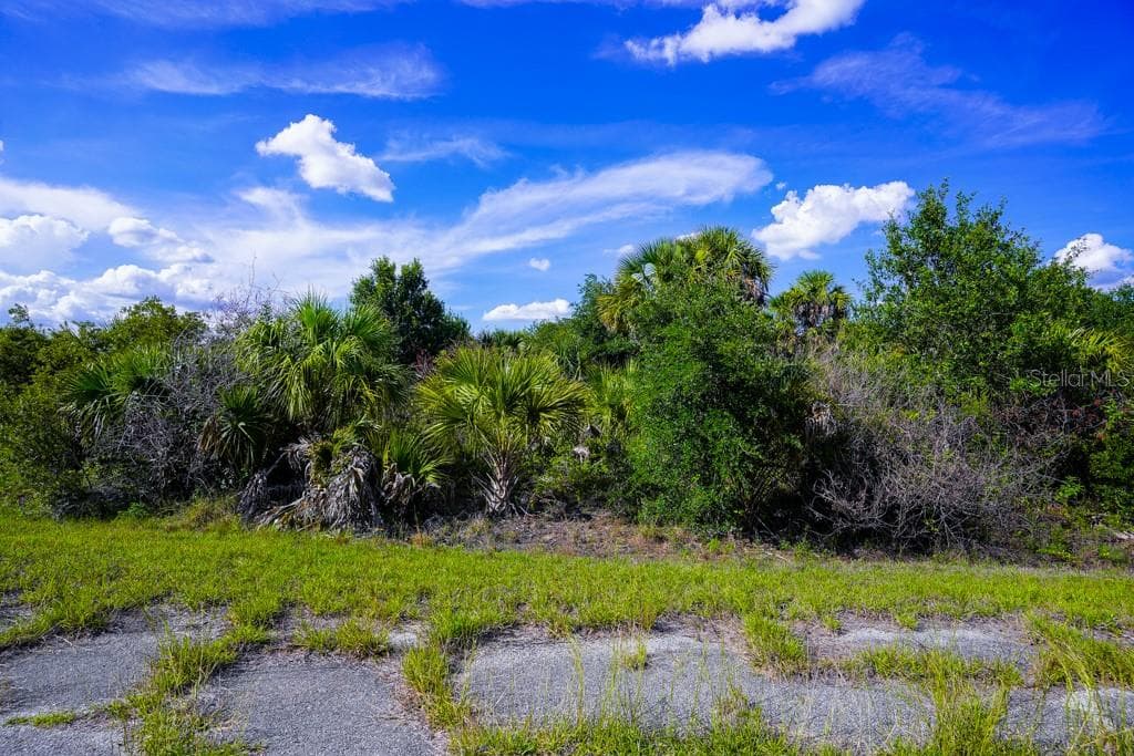 FIREBIRD ROAD — photo 14 of 20
