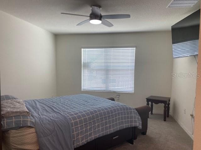 11370 AMBER RIDGE DRIVE — photo 19 of 22