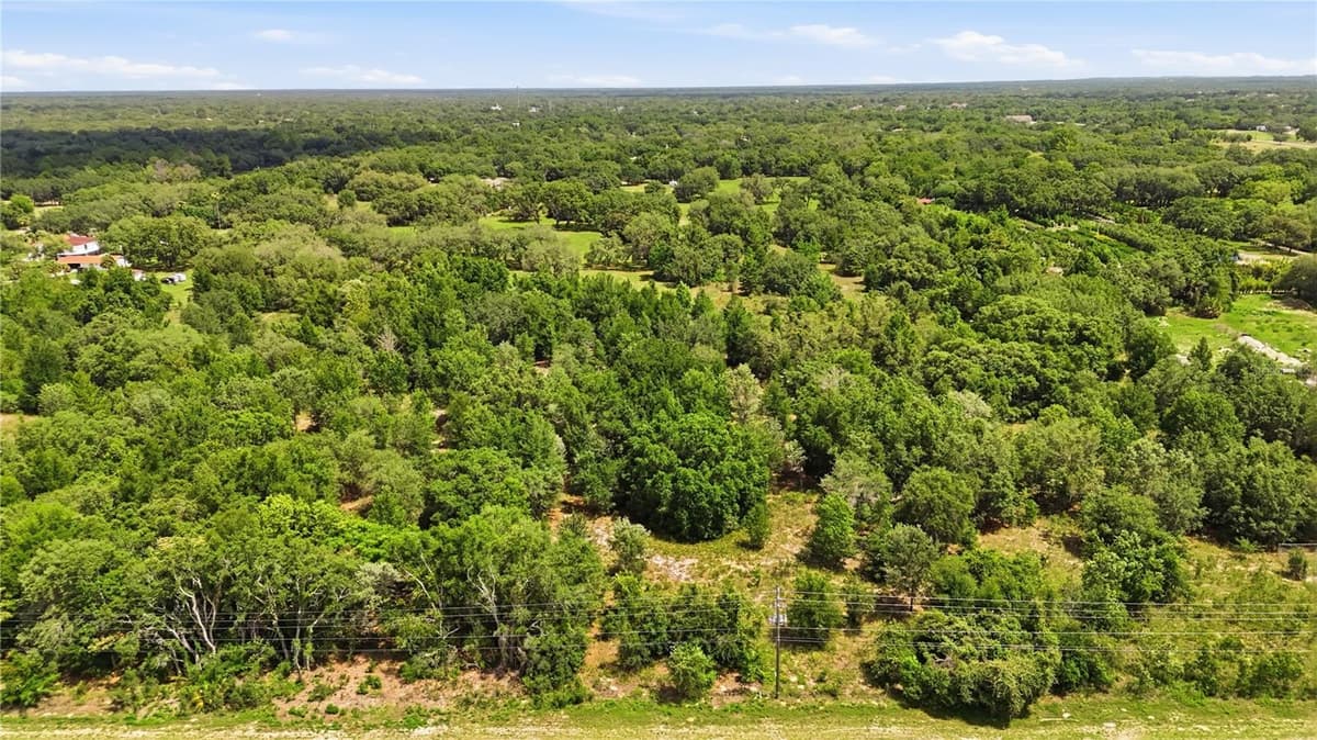 9433 COUNTY LINE ROAD — photo 5 of 11
