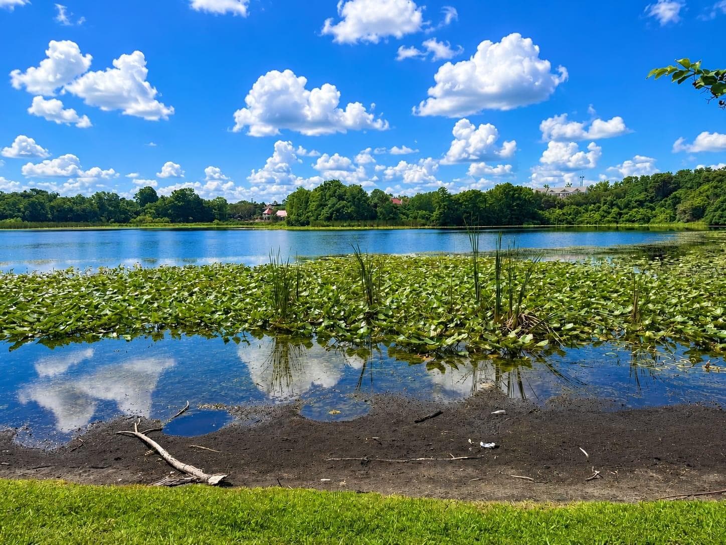 145 PEARL LAKE CAUSEWAY — photo 46 of 47