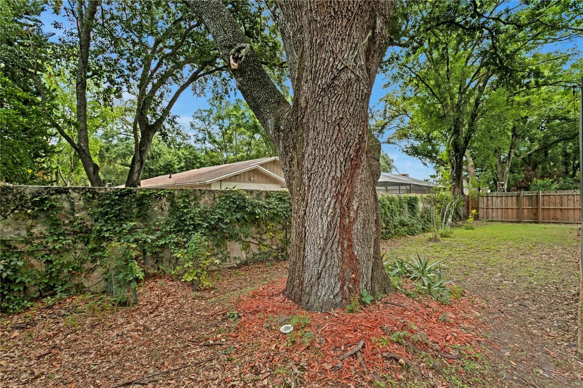12603 RAIN FOREST STREET — photo 52 of 56