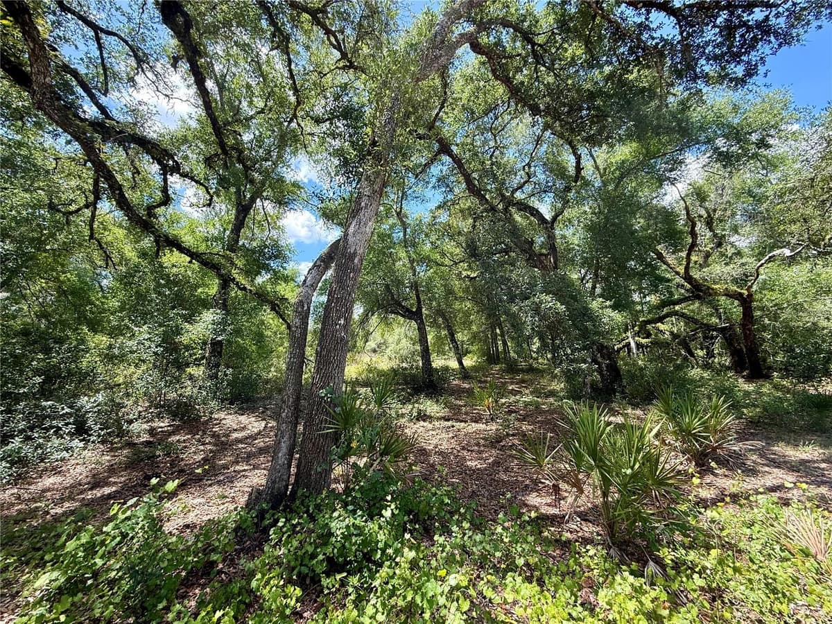 LONG CIRCLE — photo 4 of 11