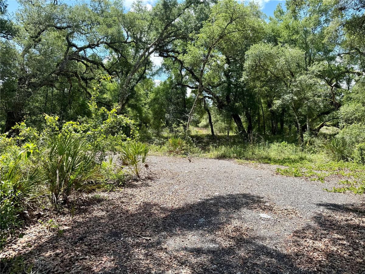LONG CIRCLE — photo 1 of 11