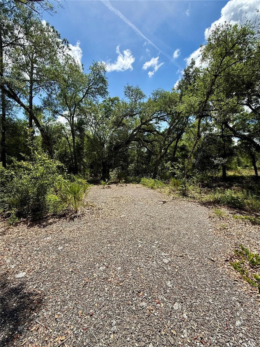 LONG CIRCLE — photo 3 of 11