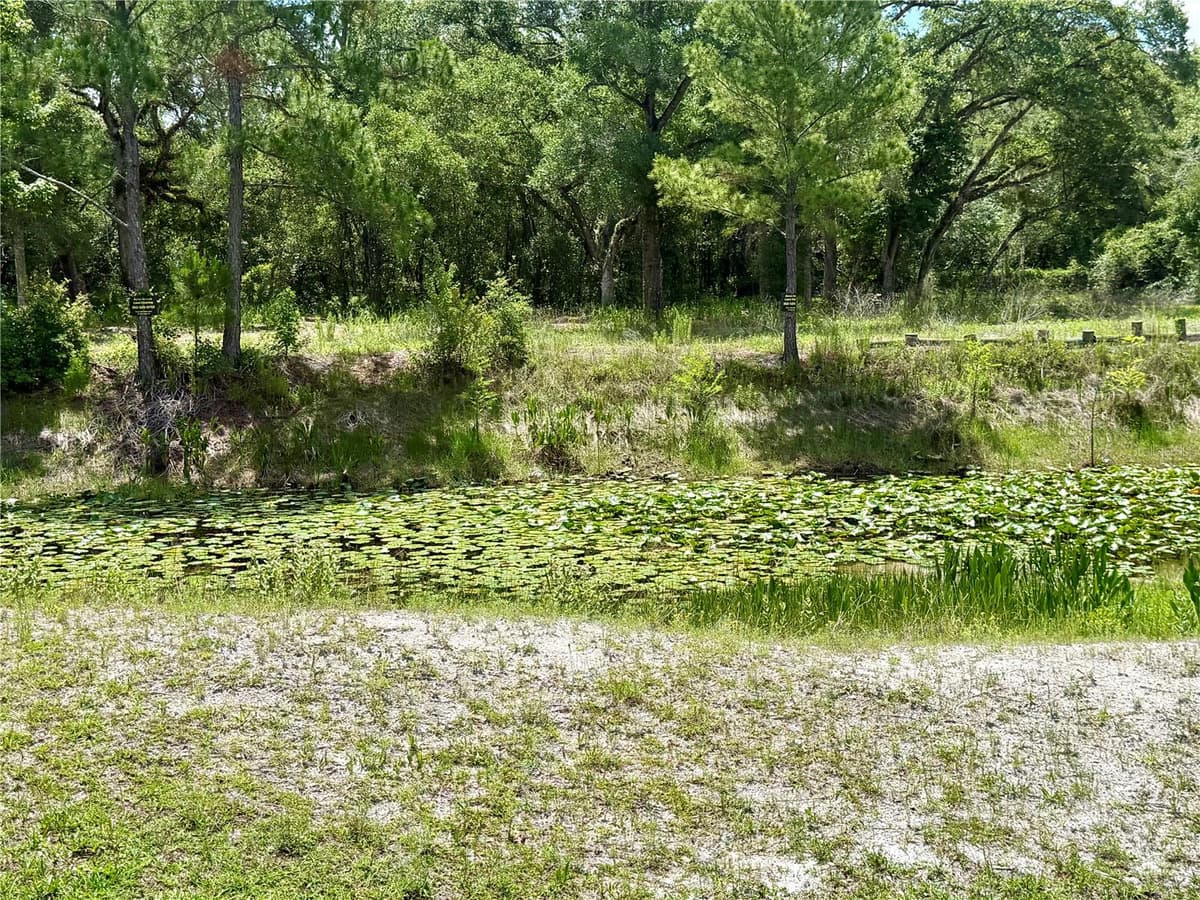 LONG CIRCLE — photo 9 of 11