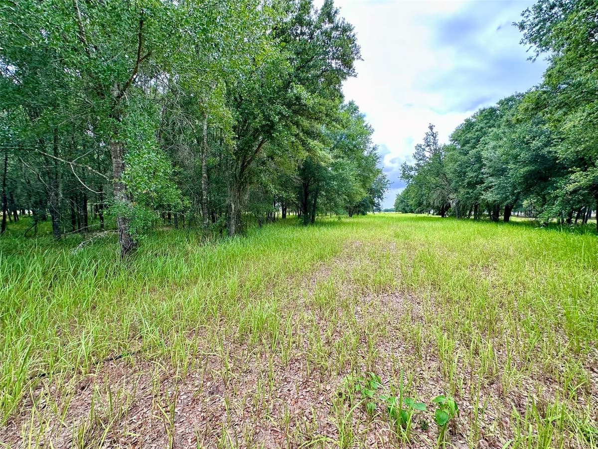 4946 WAUCHULA RD — photo 5 of 9