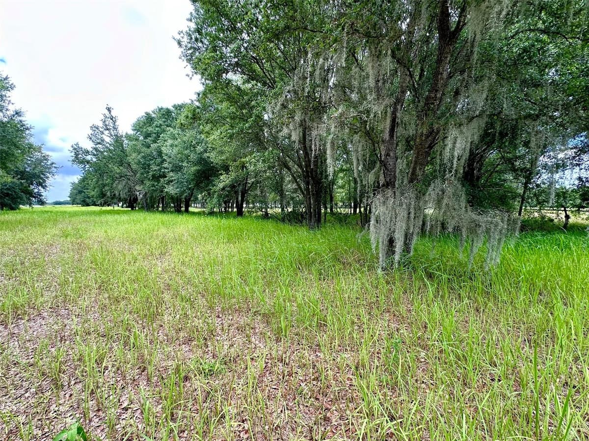 4946 WAUCHULA RD — photo 6 of 9
