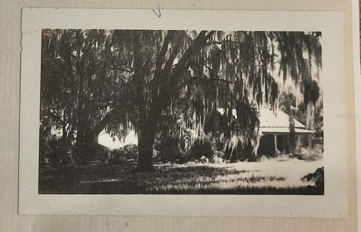 1985 97TH STREED ROAD — photo 42 of 49