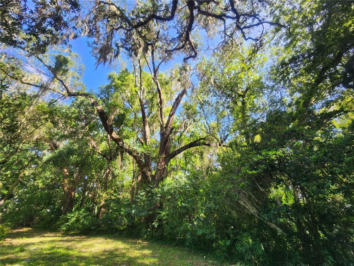 1985 97TH STREED ROAD — photo 41 of 49