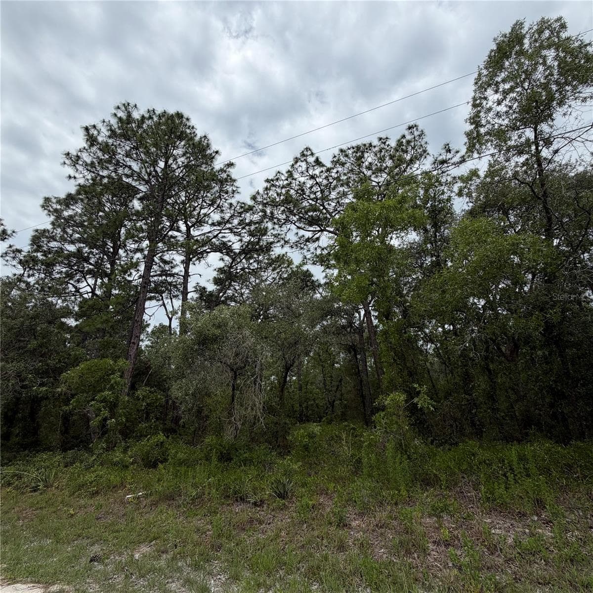 18011 NUTCRACKER ROAD