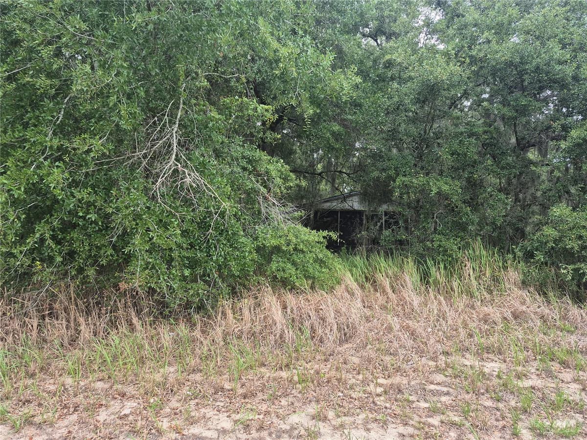 1626 US 301 — photo 3 of 6