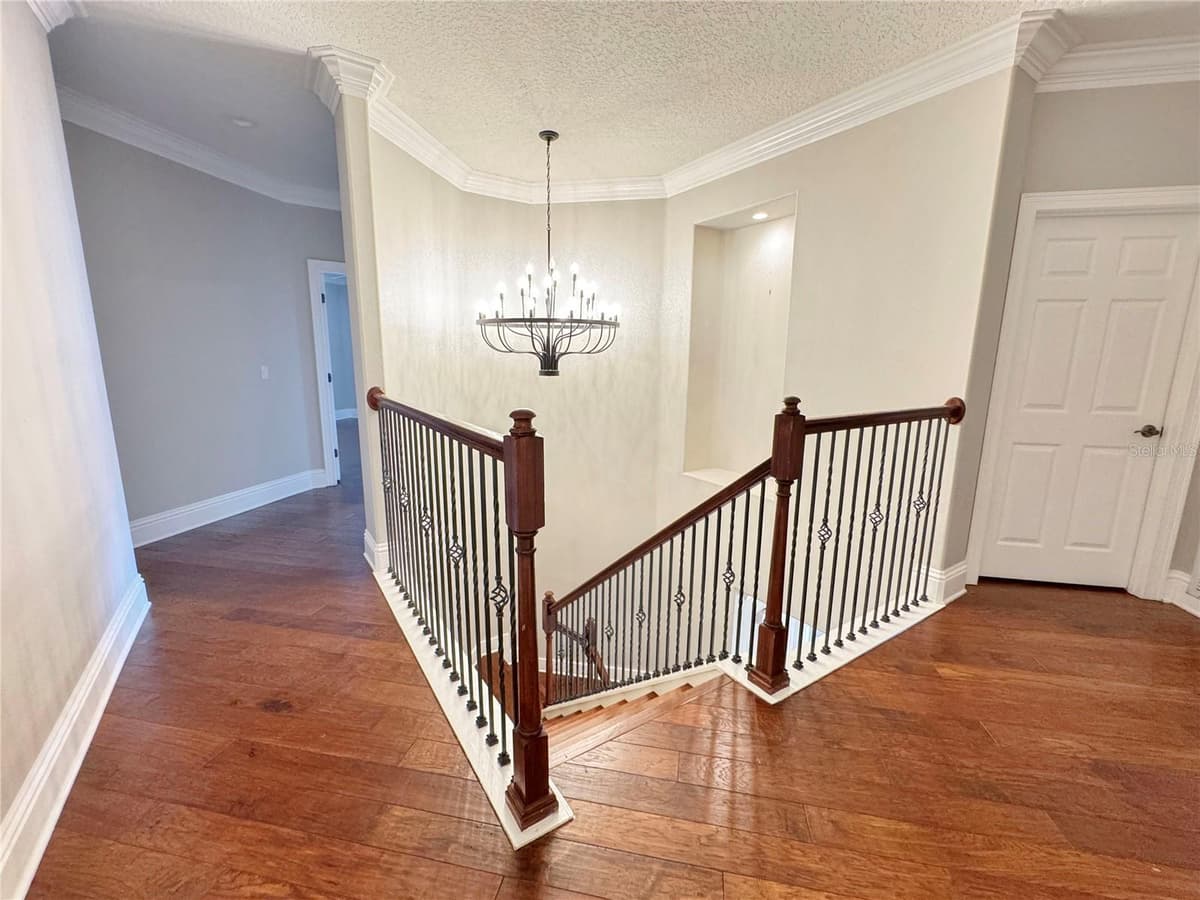173 CALLIOPE STREET — photo 53 of 55
