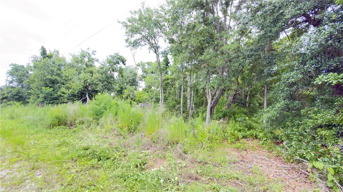 7402 LAND DRIVE — photo 2 of 6