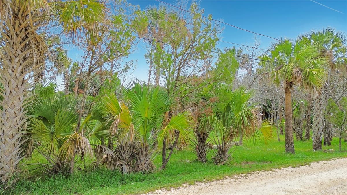 12073 GULF BREEZE COURT — photo 9 of 25