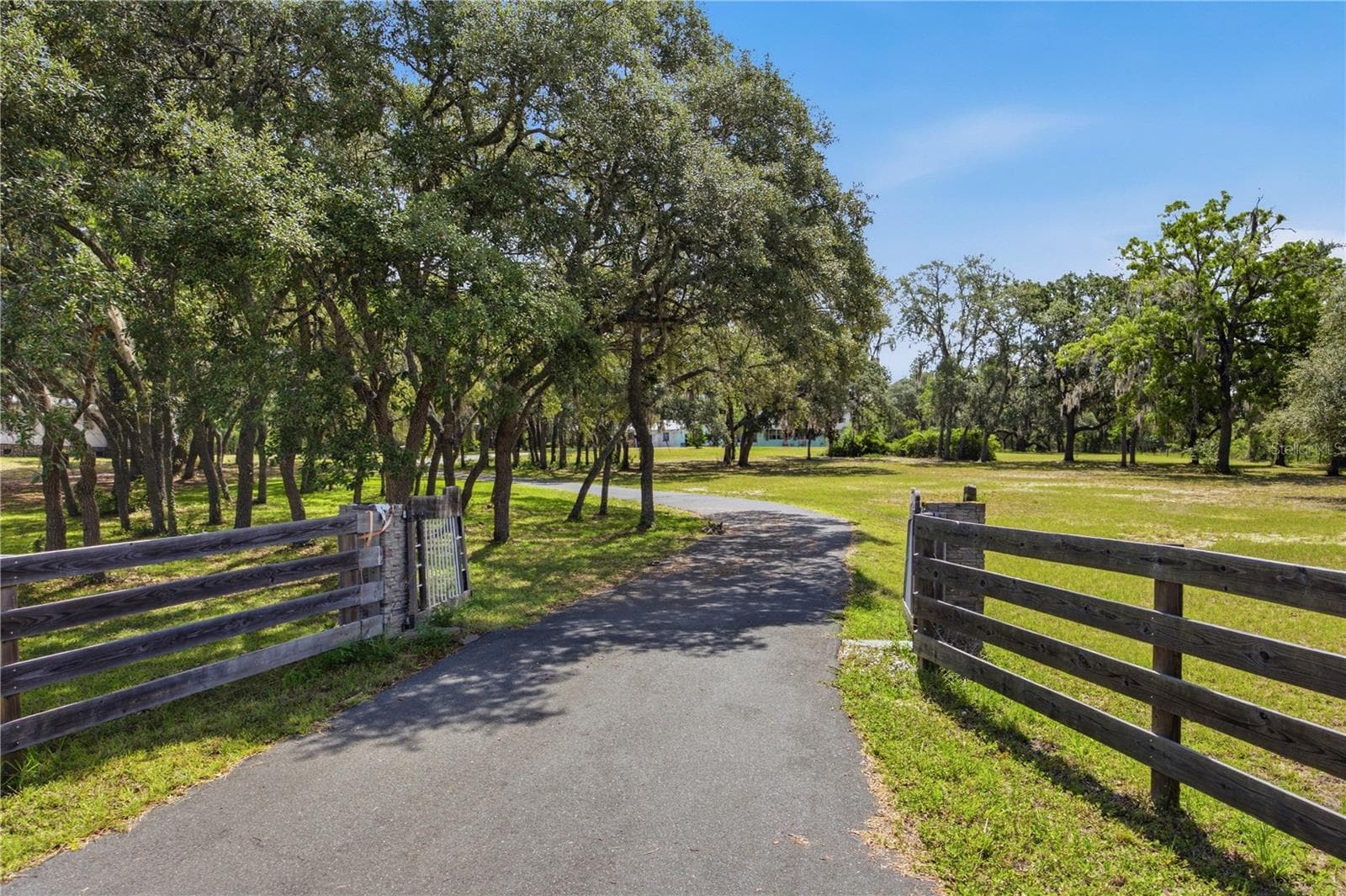6175 CANNA LILY AVENUE — photo 4 of 52