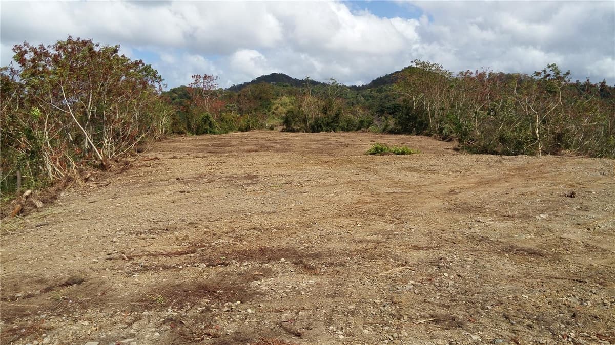 MABO — photo 8 of 12