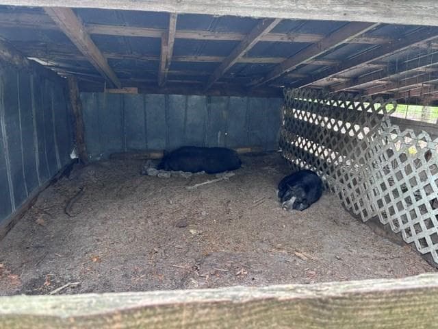 3551 60TH AVENUE — photo 39 of 44