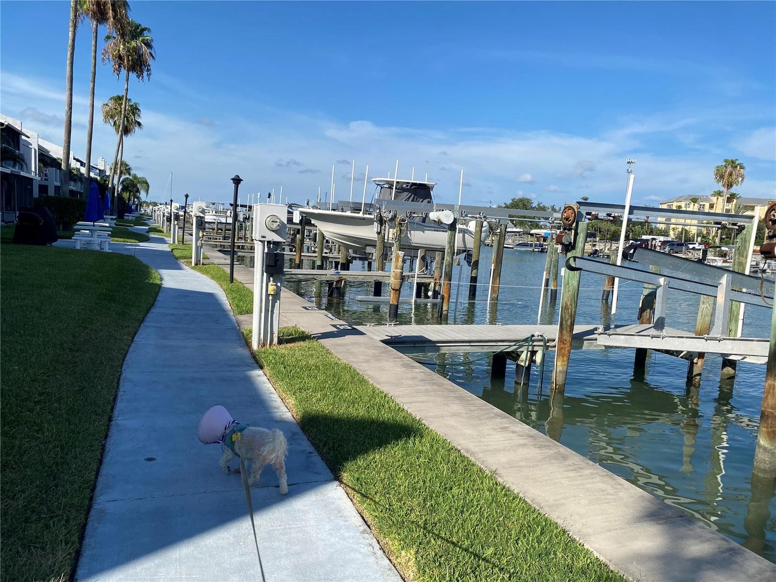 230 MEDALLION BOULEVARD — photo 37 of 37