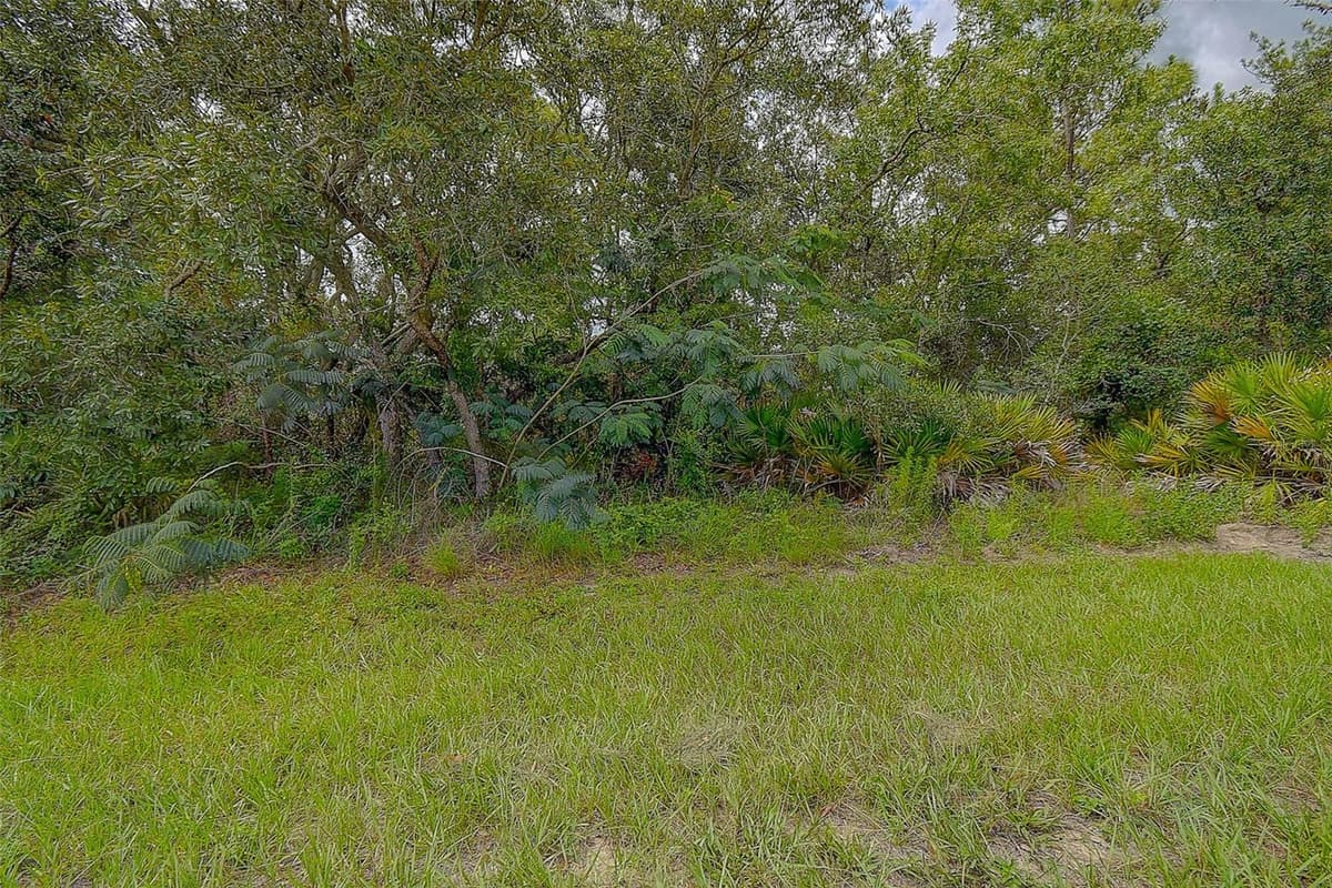 6859 MERRIVALE LANE — photo 13 of 16