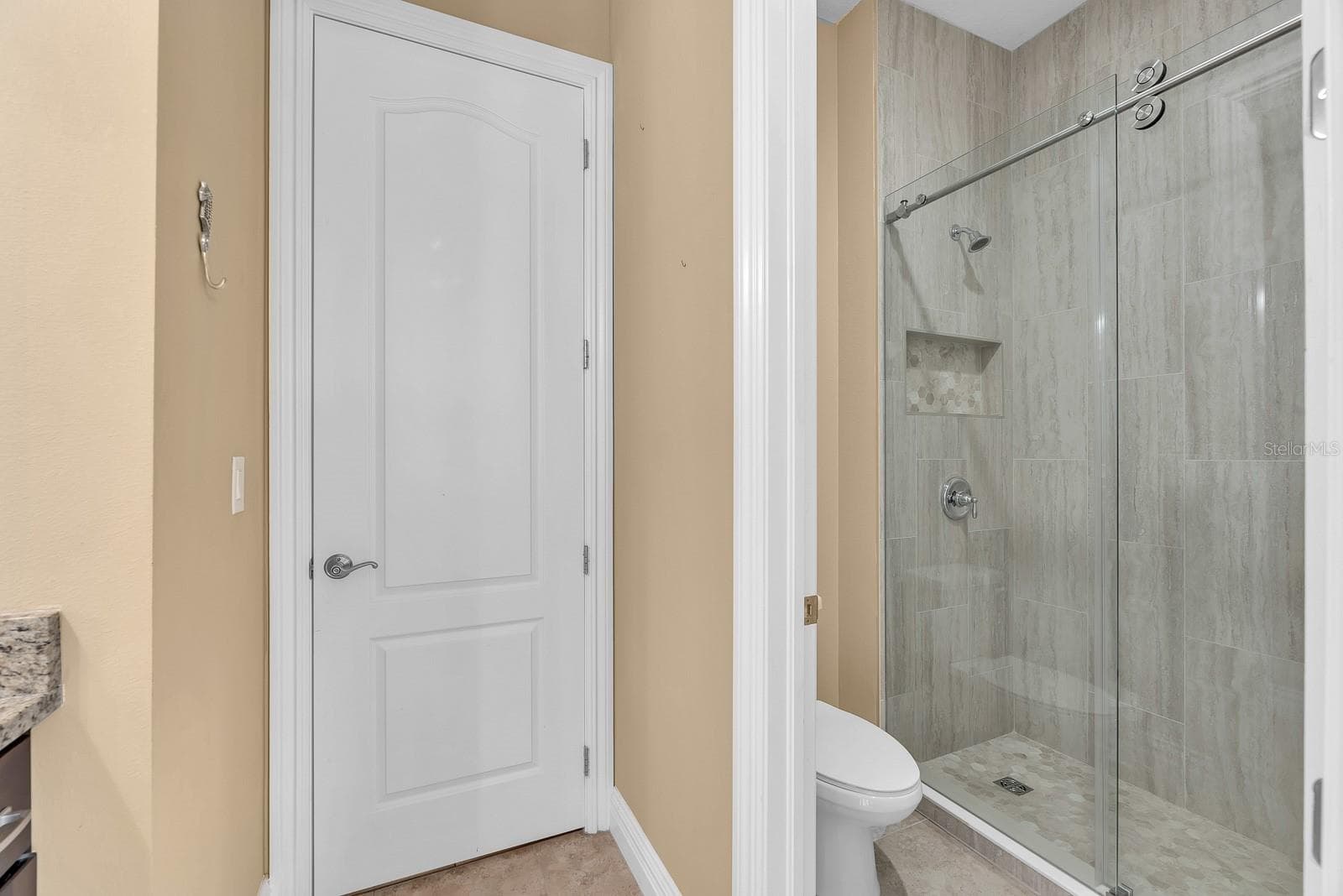 5208 ALAFIA FALLS DRIVE — photo 32 of 54