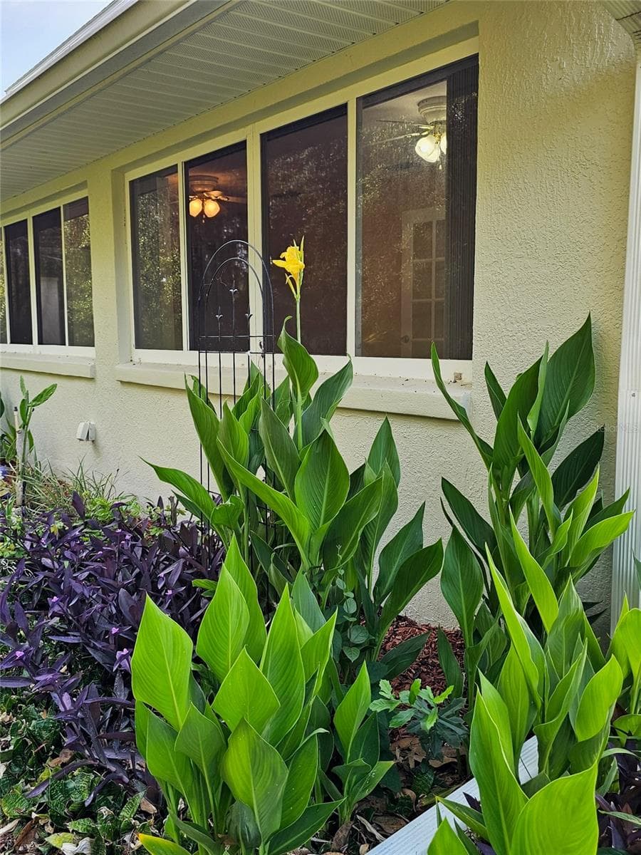 5351 AURORA DRIVE — photo 45 of 51