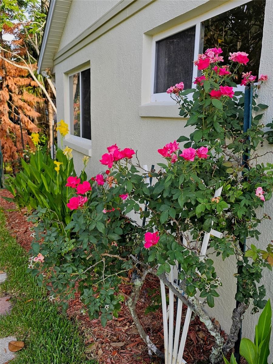 5351 AURORA DRIVE — photo 48 of 51