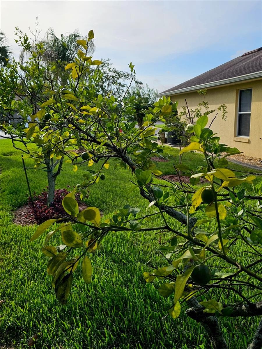 5351 AURORA DRIVE — photo 47 of 51