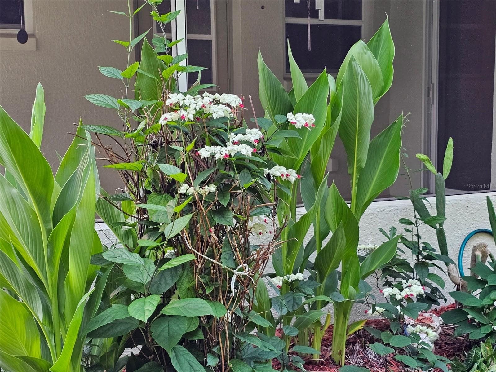 5351 AURORA DRIVE — photo 41 of 51