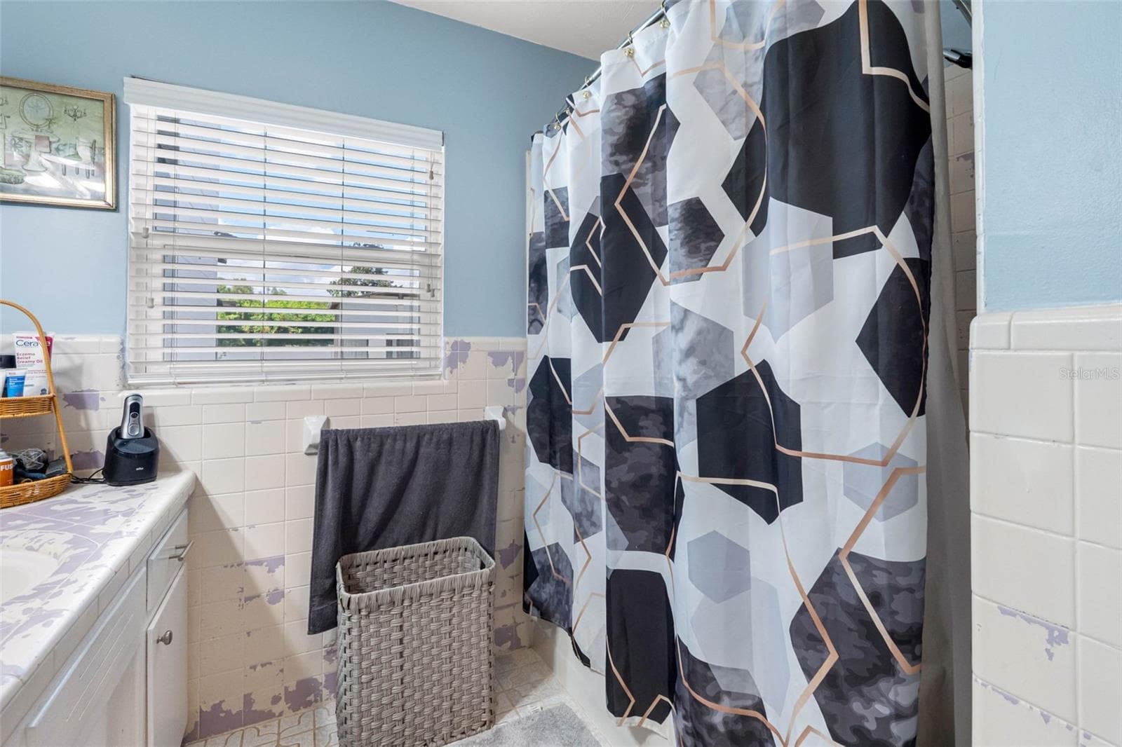5515 LAKE LE CLARE ROAD — photo 37 of 60