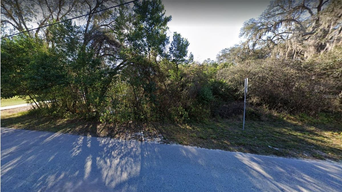 RIDGE MANOR BOULEVARD — photo 3 of 6