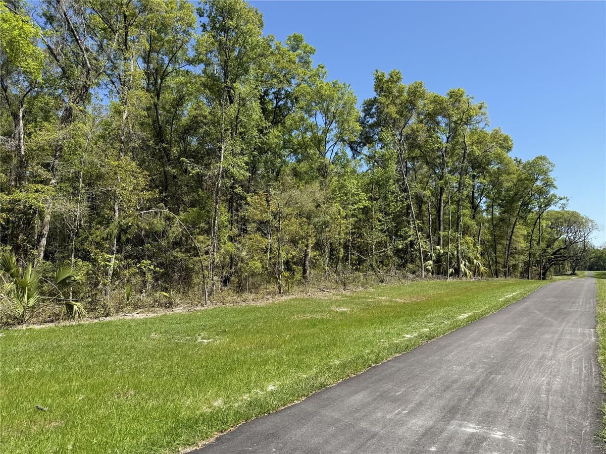 Irvine Acres #5 (13ac) HWY 318 — photo 3 of 10