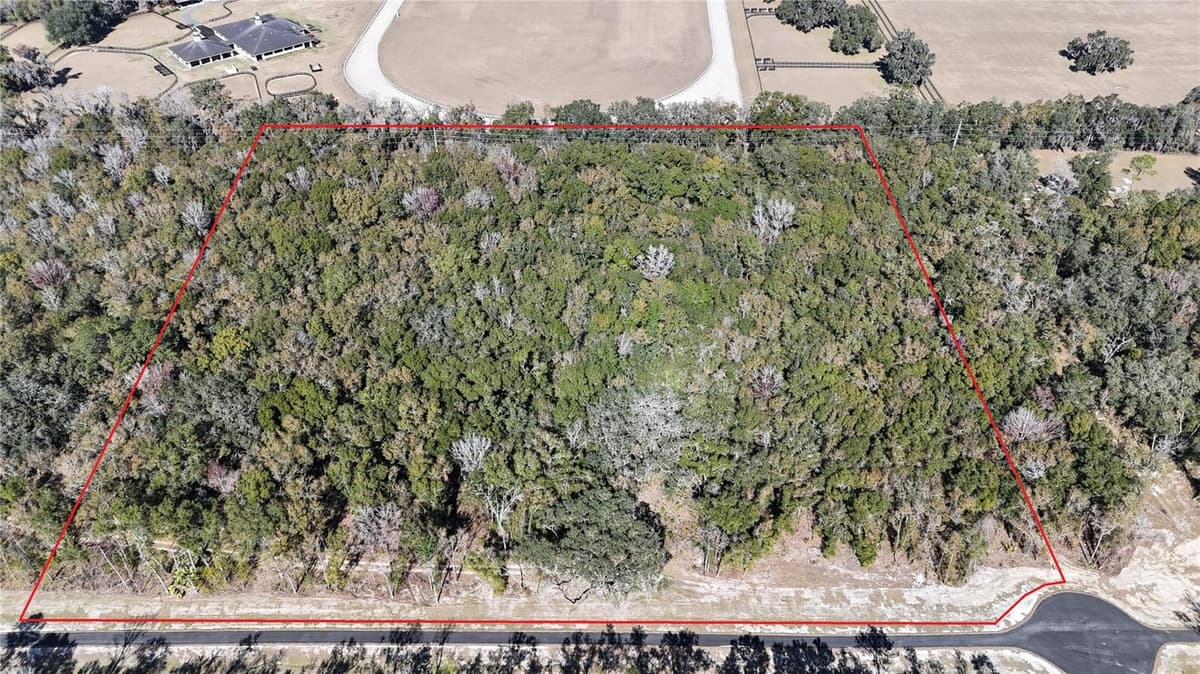 Irvine Acres #5 (13ac) HWY 318 — photo 8 of 10
