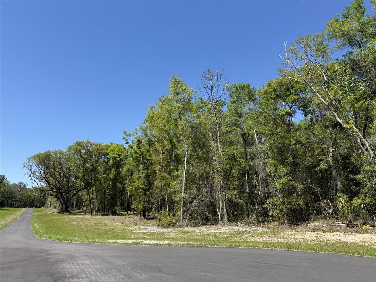 Irvine Acres #5 (13ac) HWY 318 — photo 2 of 10