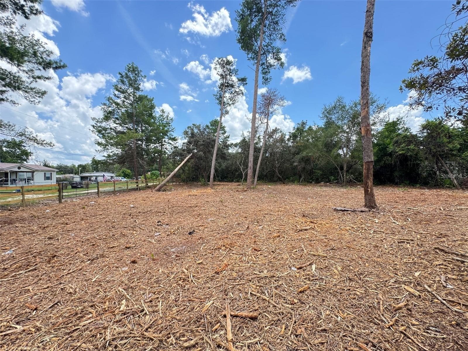 PINE STREET — photo 4 of 7