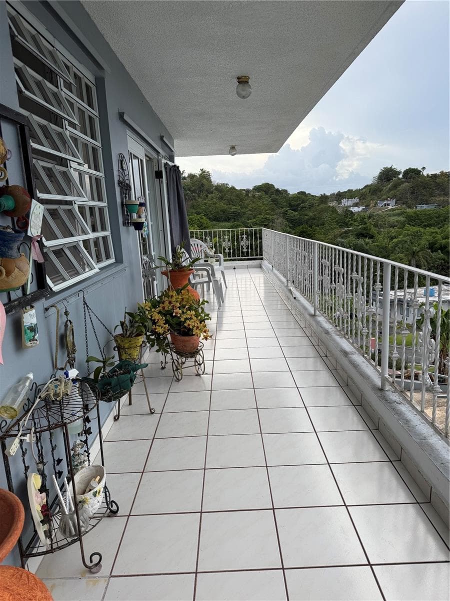 Sector Flor Sanchez BO. BUENA VISTA — photo 12 of 14