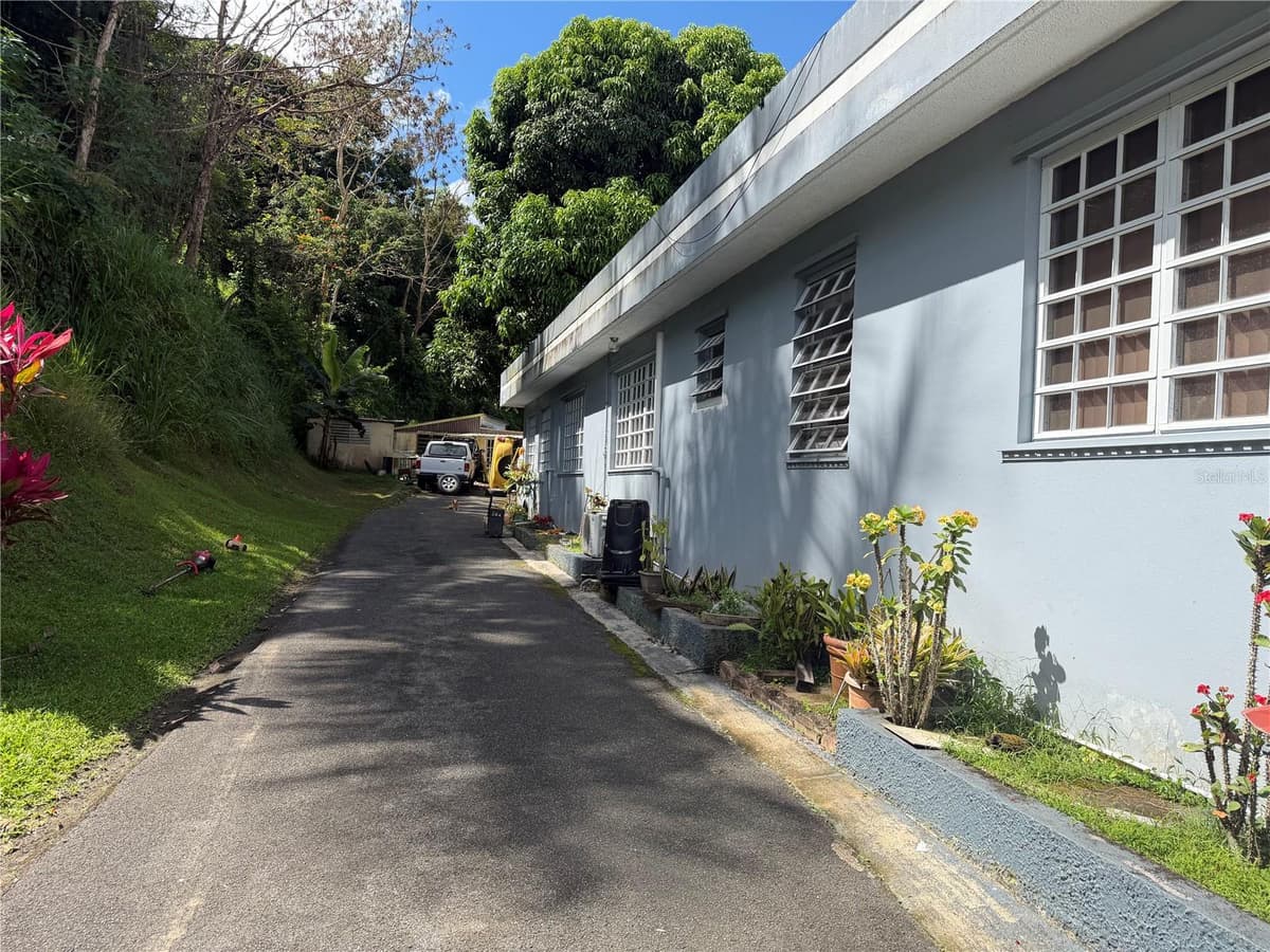 Sector Flor Sanchez BO. BUENA VISTA — photo 13 of 14