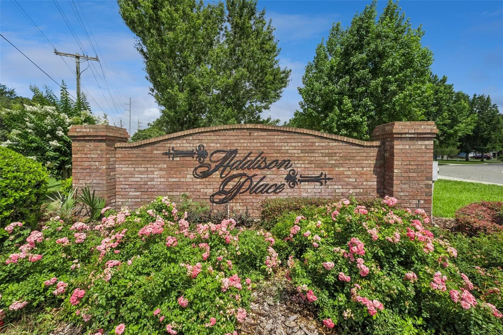 2243 WOLF RIDGE LANE — photo 51 of 57